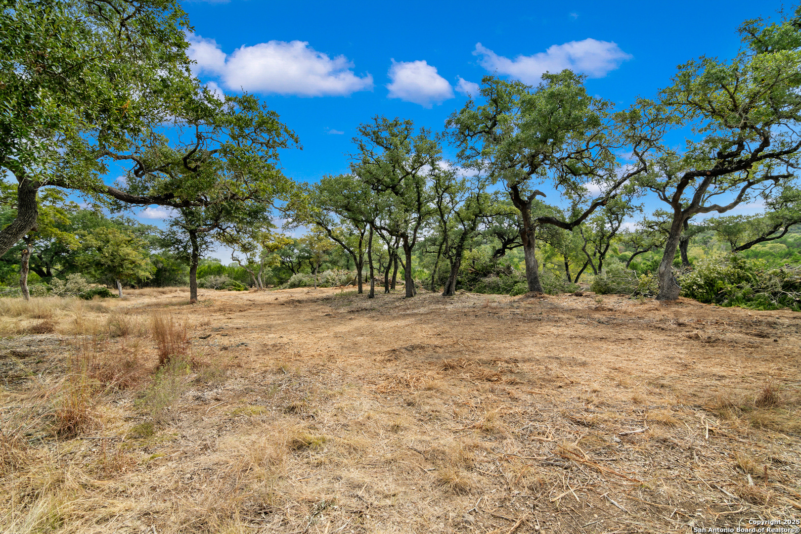 25722 Eden Point Boerne, TX 78006 - Photo 19 of 46 a view of backyard with green space