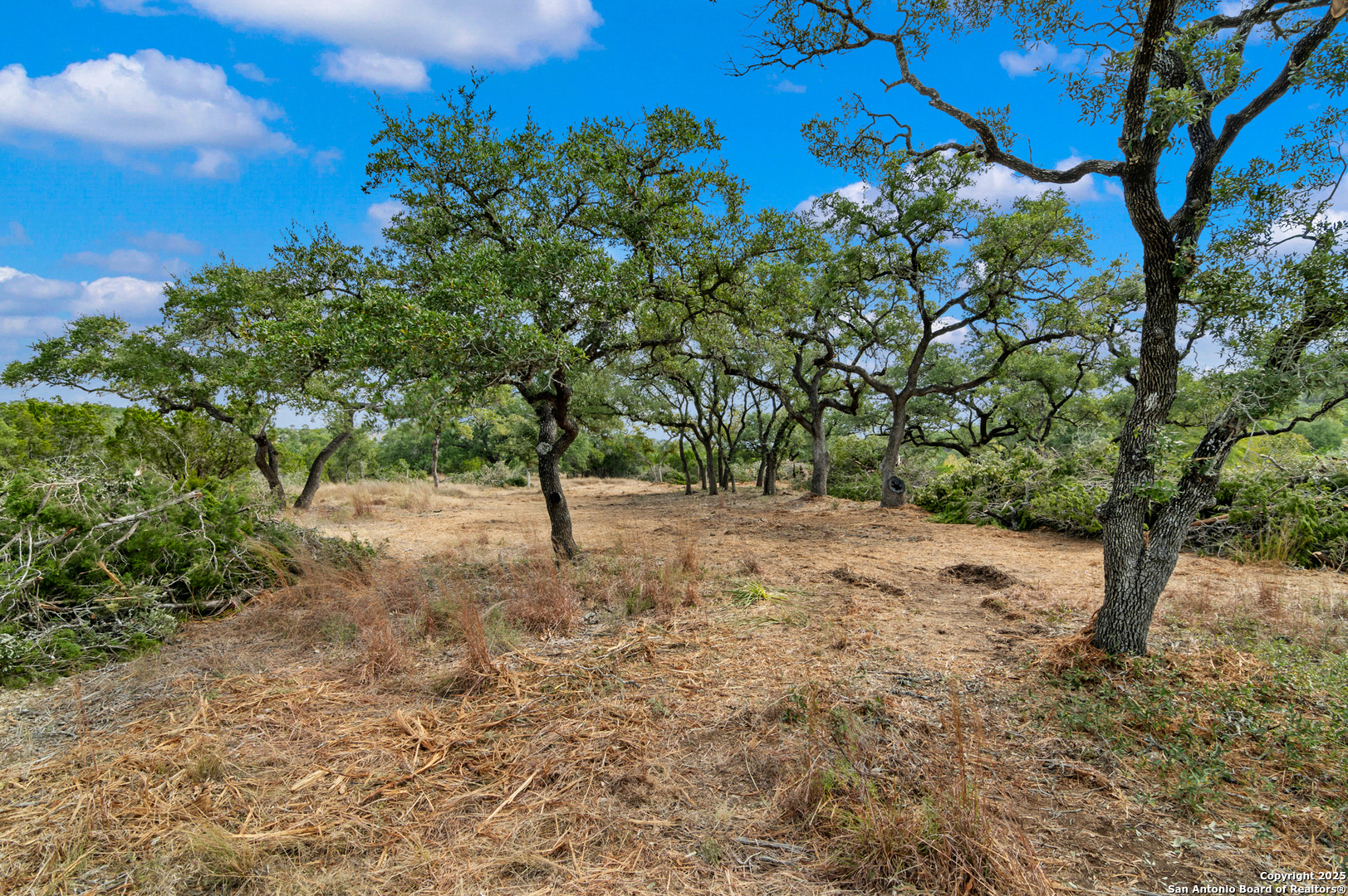 25722 Eden Point Boerne, TX 78006 - Photo 20 of 46 a view of a yard with plants and trees