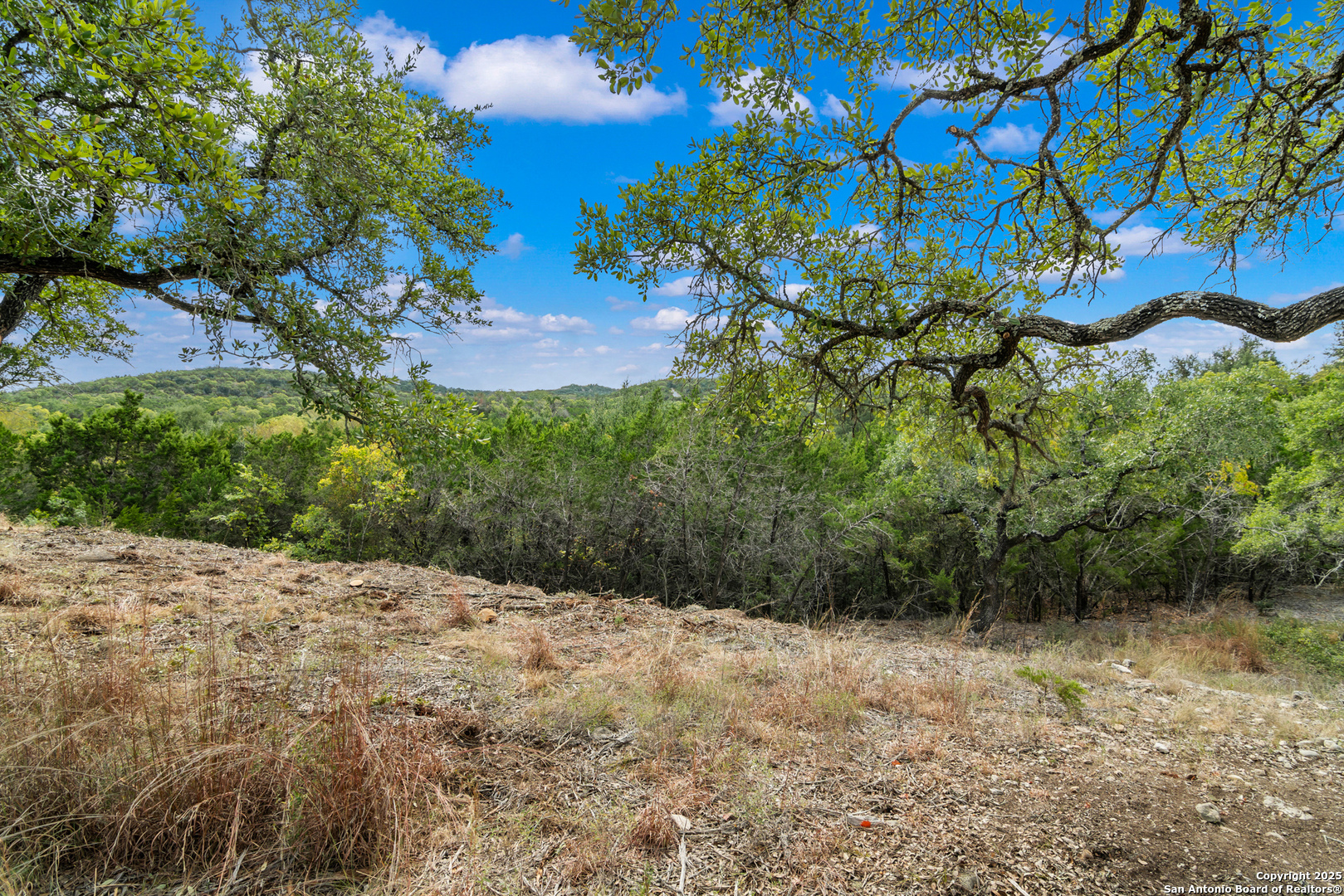 25722 Eden Point Boerne, TX 78006 - Photo 21 of 46 a view of a yard