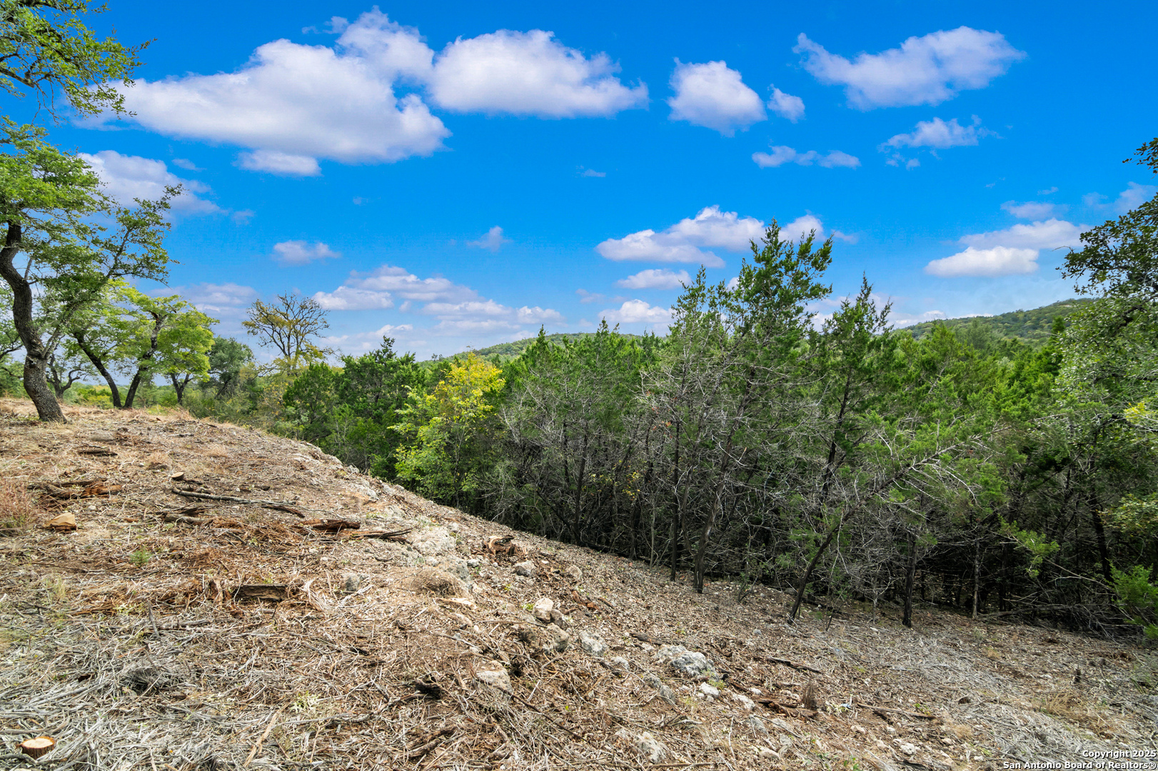 25722 Eden Point Boerne, TX 78006 - Photo 22 of 46 a view of a bunch of trees