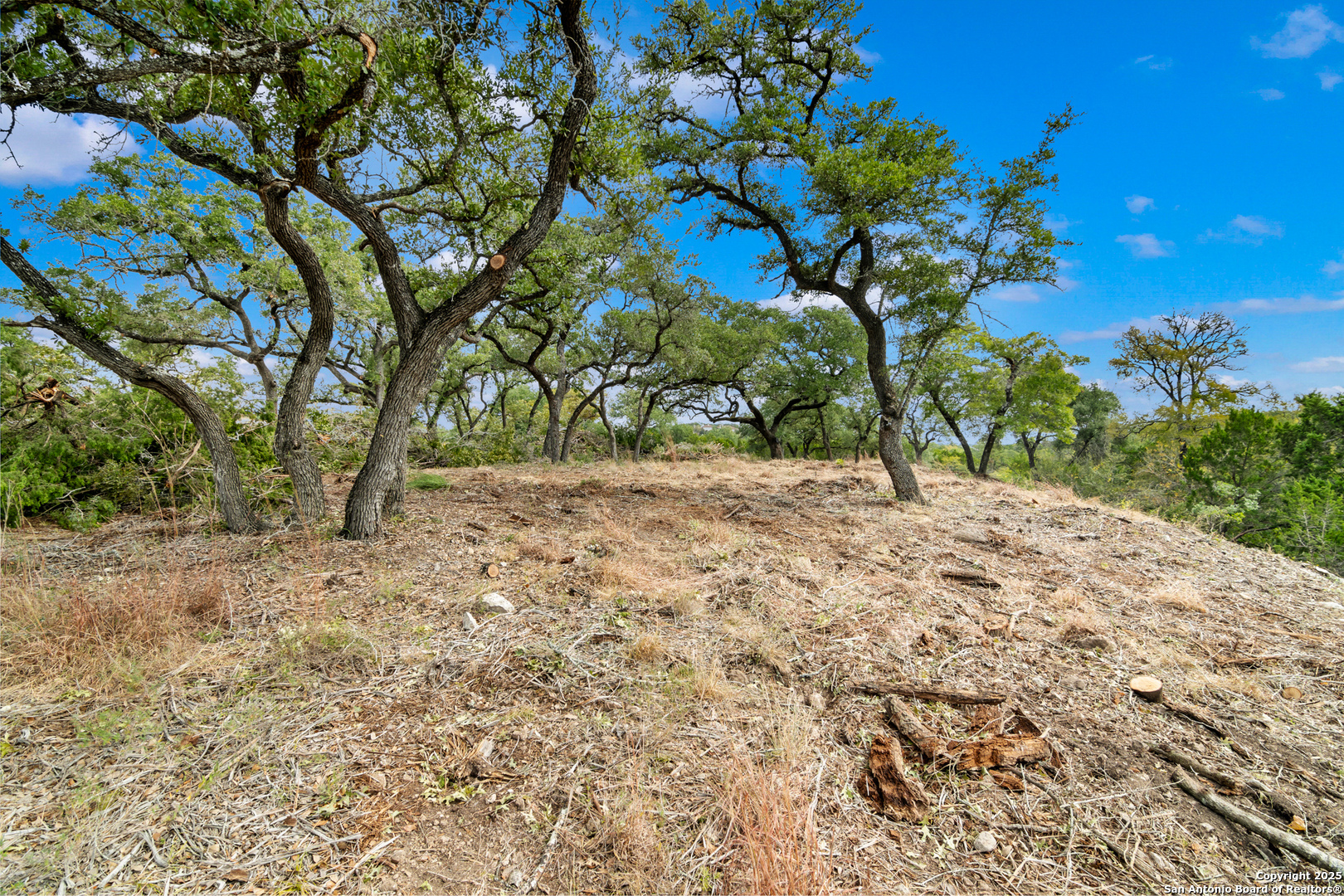 25722 Eden Point Boerne, TX 78006 - Photo 23 of 46 a view of a yard with a tree