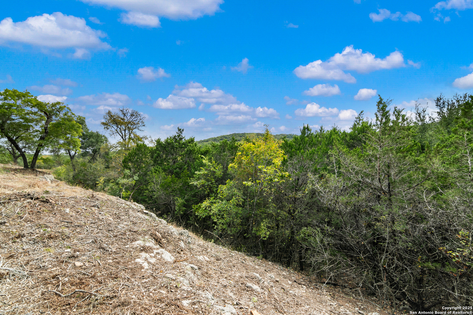 25722 Eden Point Boerne, TX 78006 - Photo 24 of 46 a view of a bunch of trees