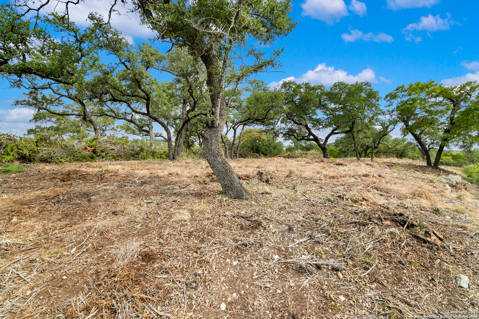 25722 Eden Point Boerne, TX 78006 - Photo 25 of 46 a view of a yard with a tree
