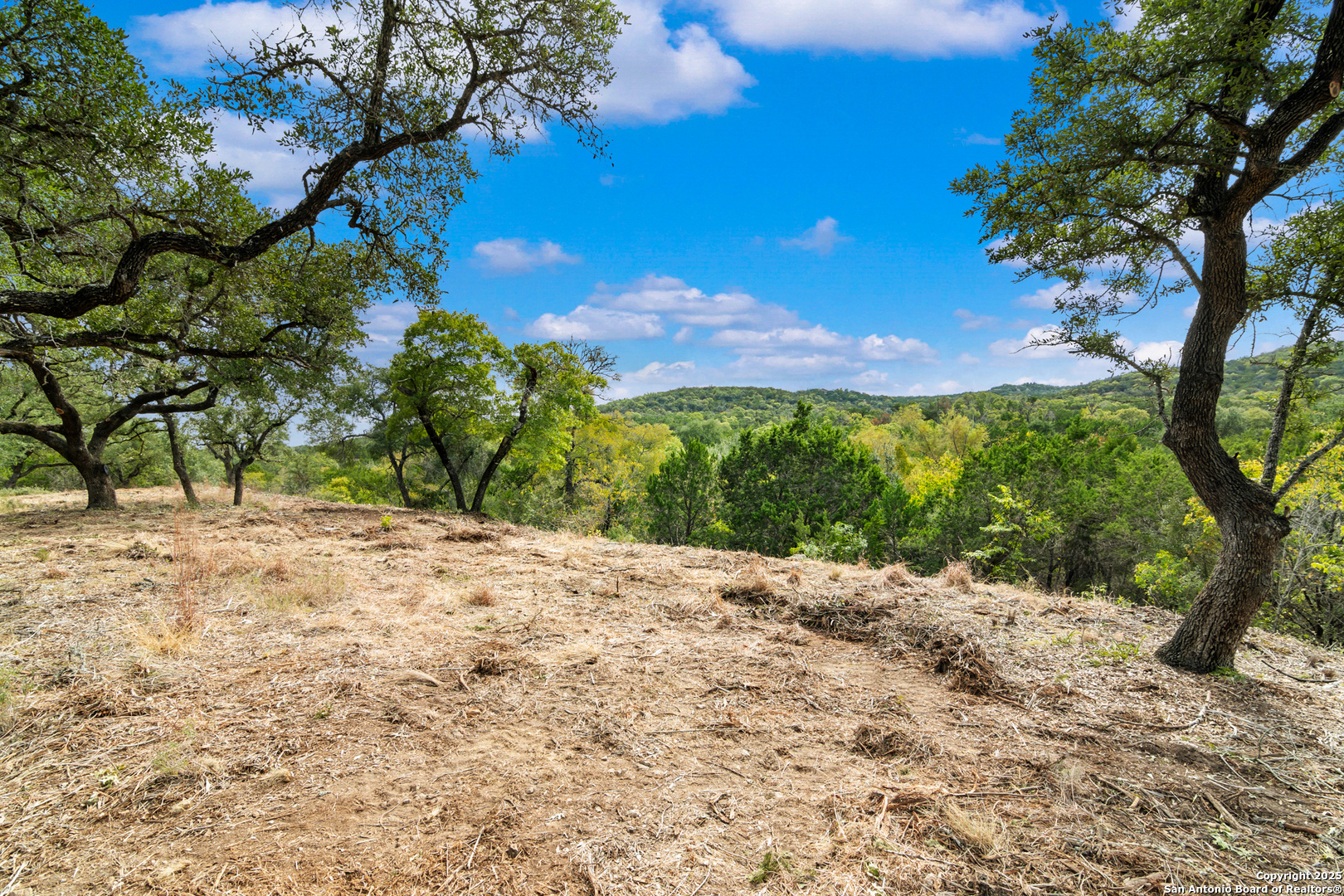 25722 Eden Point Boerne, TX 78006 - Photo 26 of 46 a view of a yard with a tree