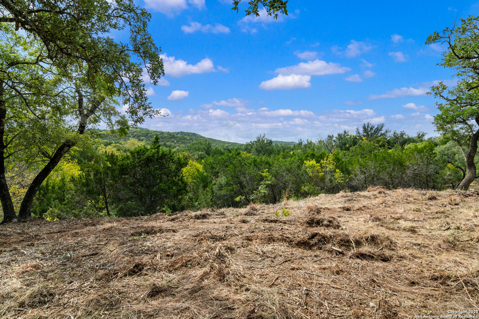 25722 Eden Point Boerne, TX 78006 - Photo 27 of 46 a view of a yard with a tree