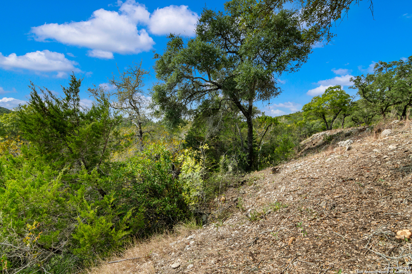 25722 Eden Point Boerne, TX 78006 - Photo 28 of 46 a view of a bunch of trees and bushes