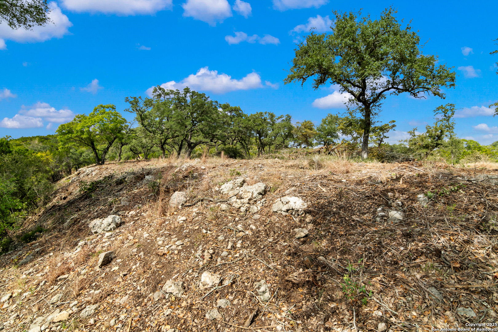 25722 Eden Point Boerne, TX 78006 - Photo 29 of 46 a view of a yard with a tree