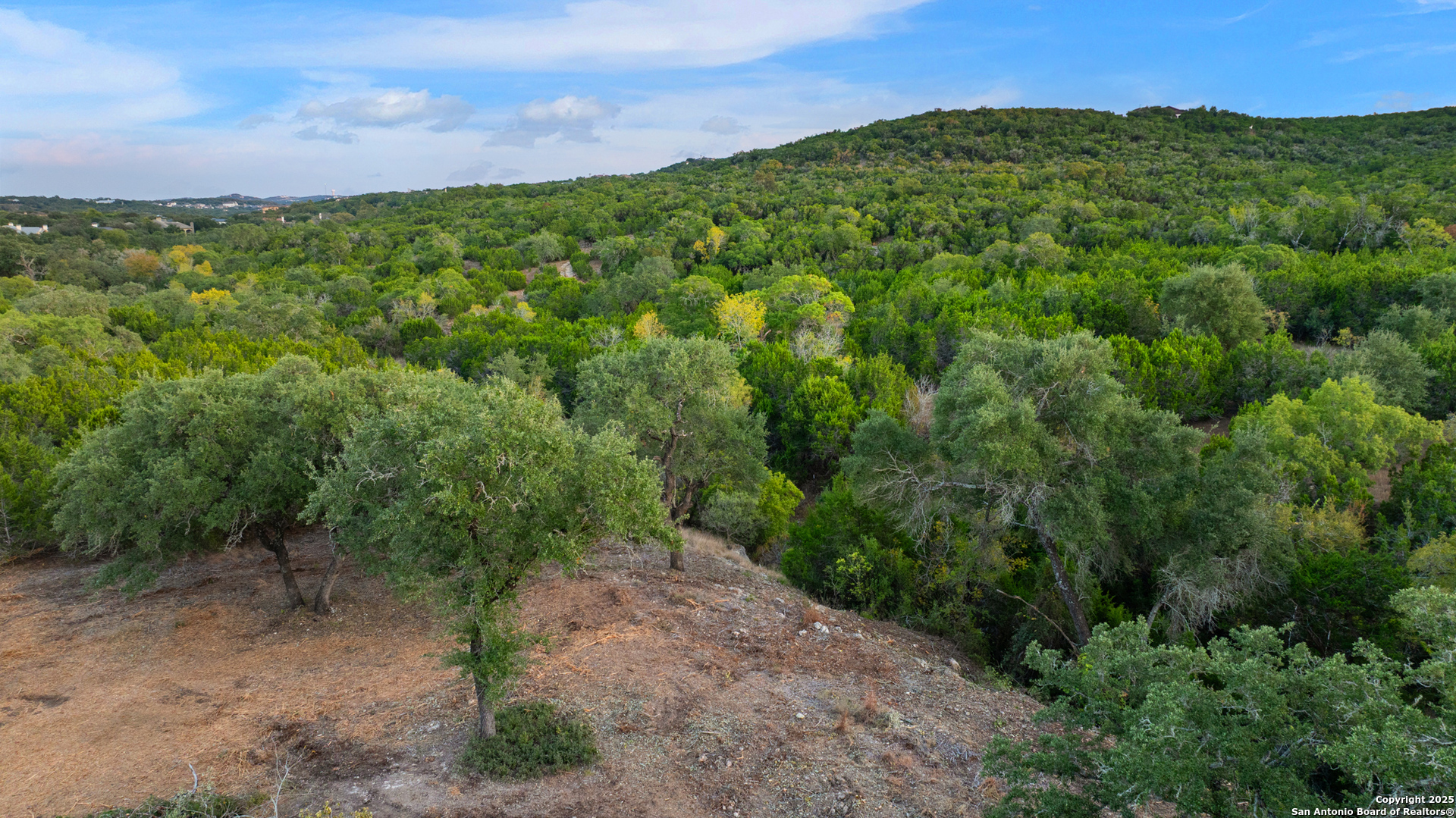 25722 Eden Point Boerne, TX 78006 - Photo 32 of 46 a view of a green field with lots of bushes