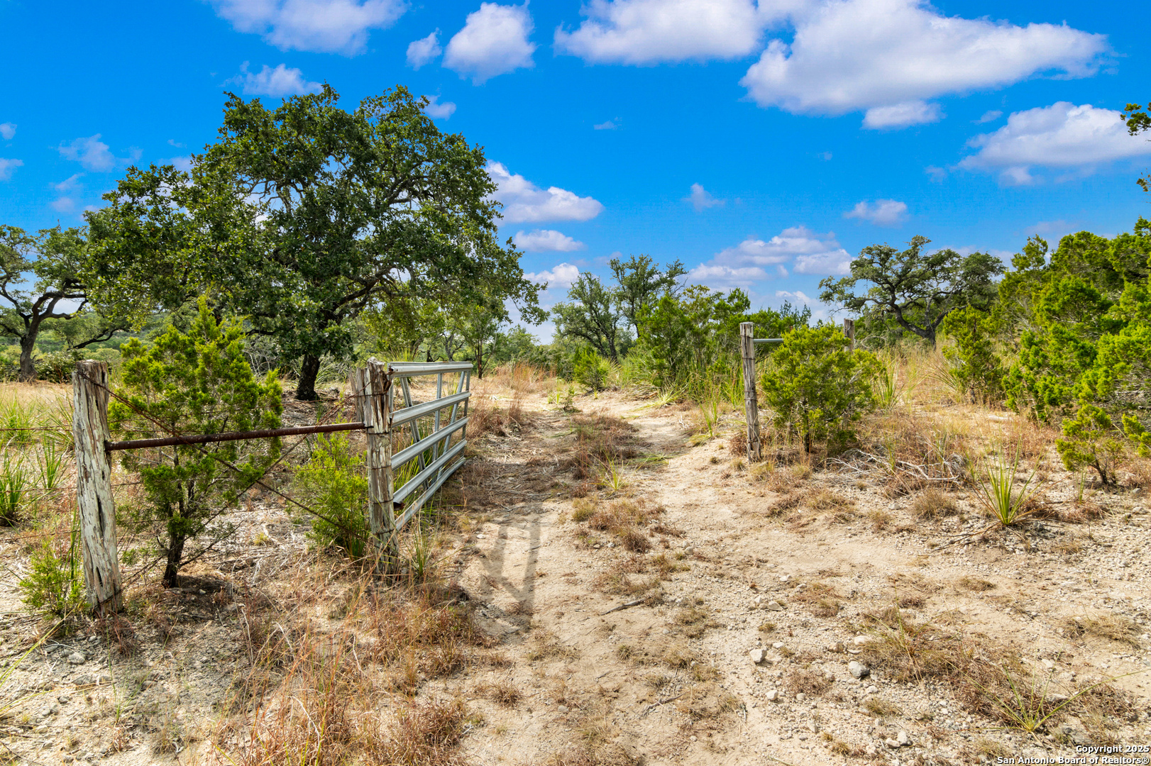 25722 Eden Point Boerne, TX 78006 - Photo 6 of 46 a view of yard