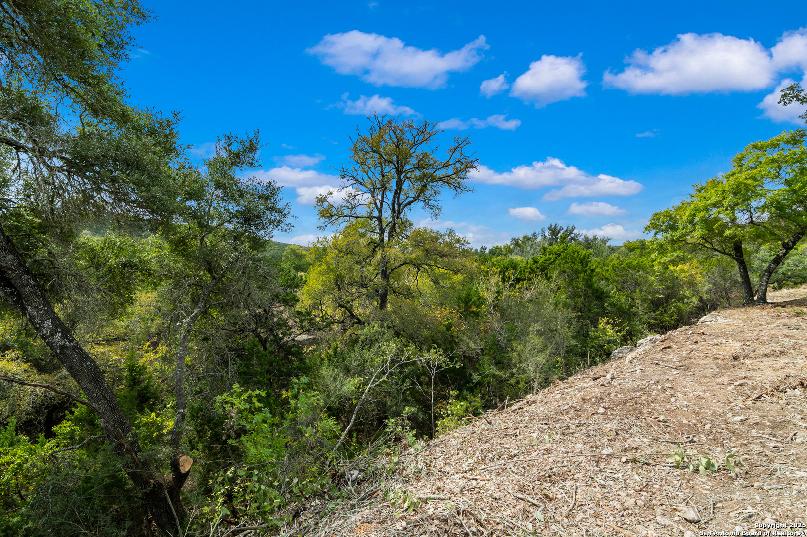 25722 Eden Point Boerne, TX 78006 - Photo 7 of 46 a view of a tree with a yard