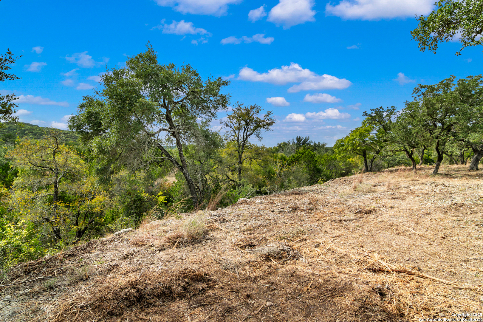 25722 Eden Point Boerne, TX 78006 - Photo 10 of 46 a view of a backyard of a house with a mountain