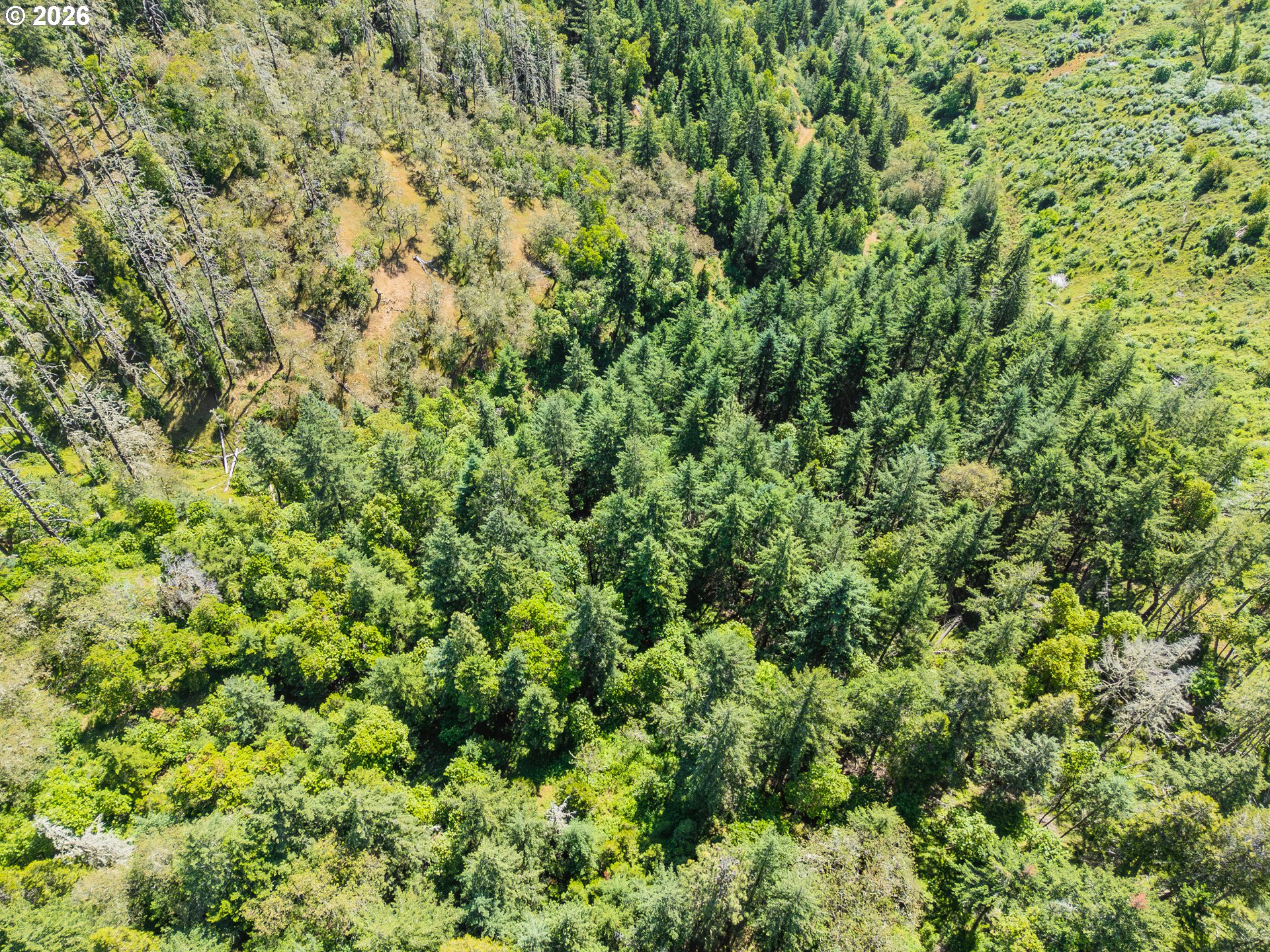 3707 Willis Creek Road Winston, OR 97496 - Photo 17 of 30 an outdoor view of a yard