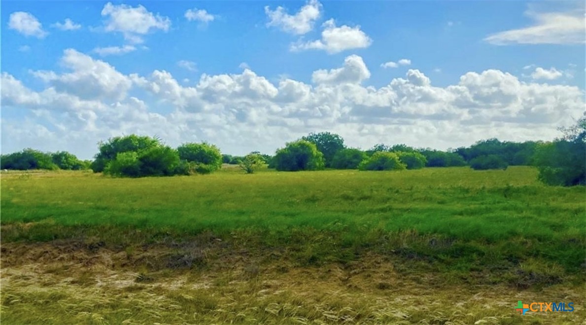 61 Falcon Way Palacios, TX 77465 - Photo 16 of 22 a view of a big yard with potted plants and big trees
