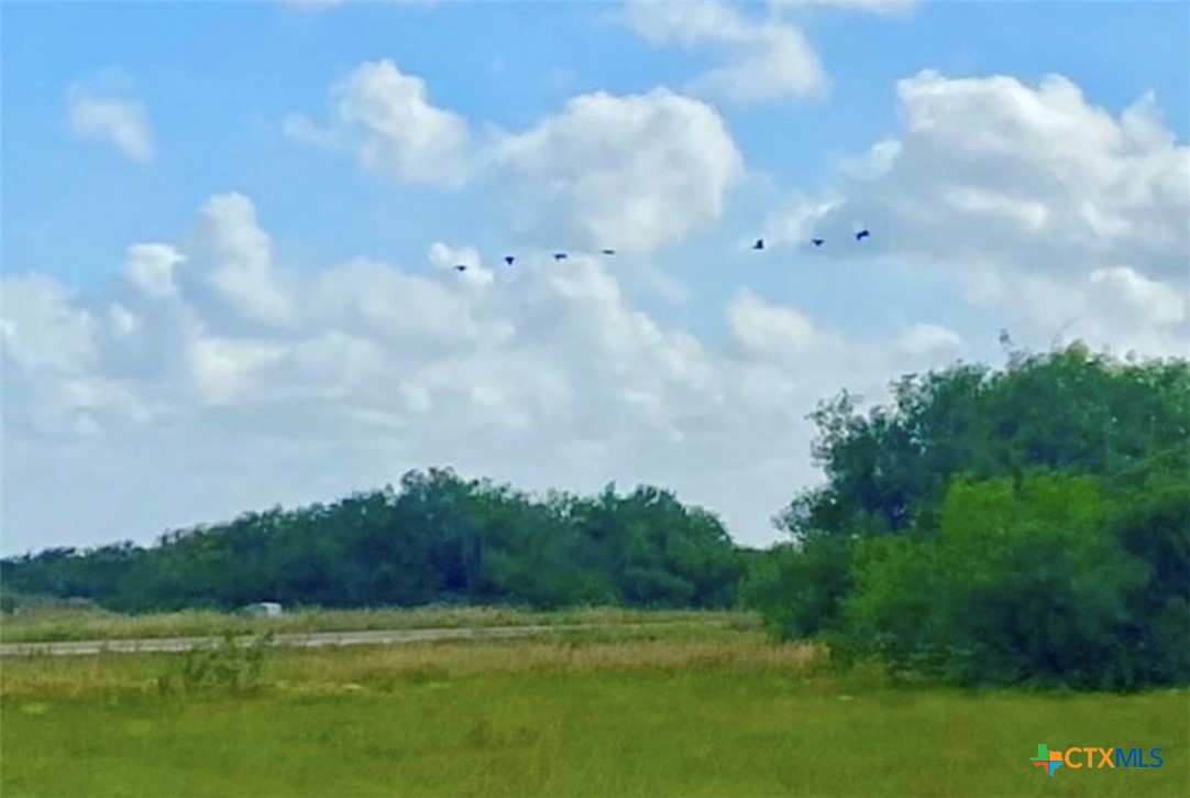 61 Falcon Way Palacios, TX 77465 - Photo 21 of 22 a view of a lake and mountain