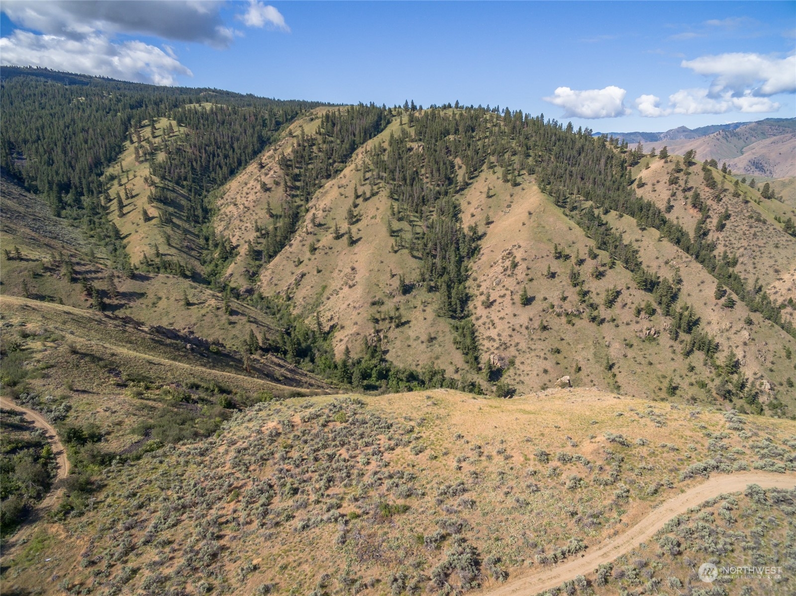 53 Tyee View Loop Road Orondo, WA 98843 - Photo 4 of 25 Gallery Image 4