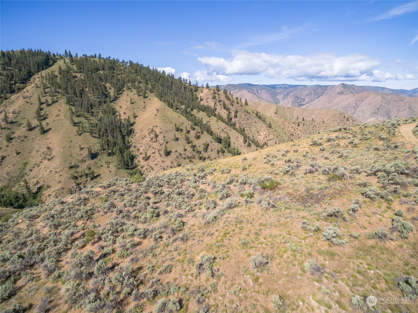 53 Tyee View Loop Road Orondo, WA 98843 - Photo 5 of 25 Gallery Image 5