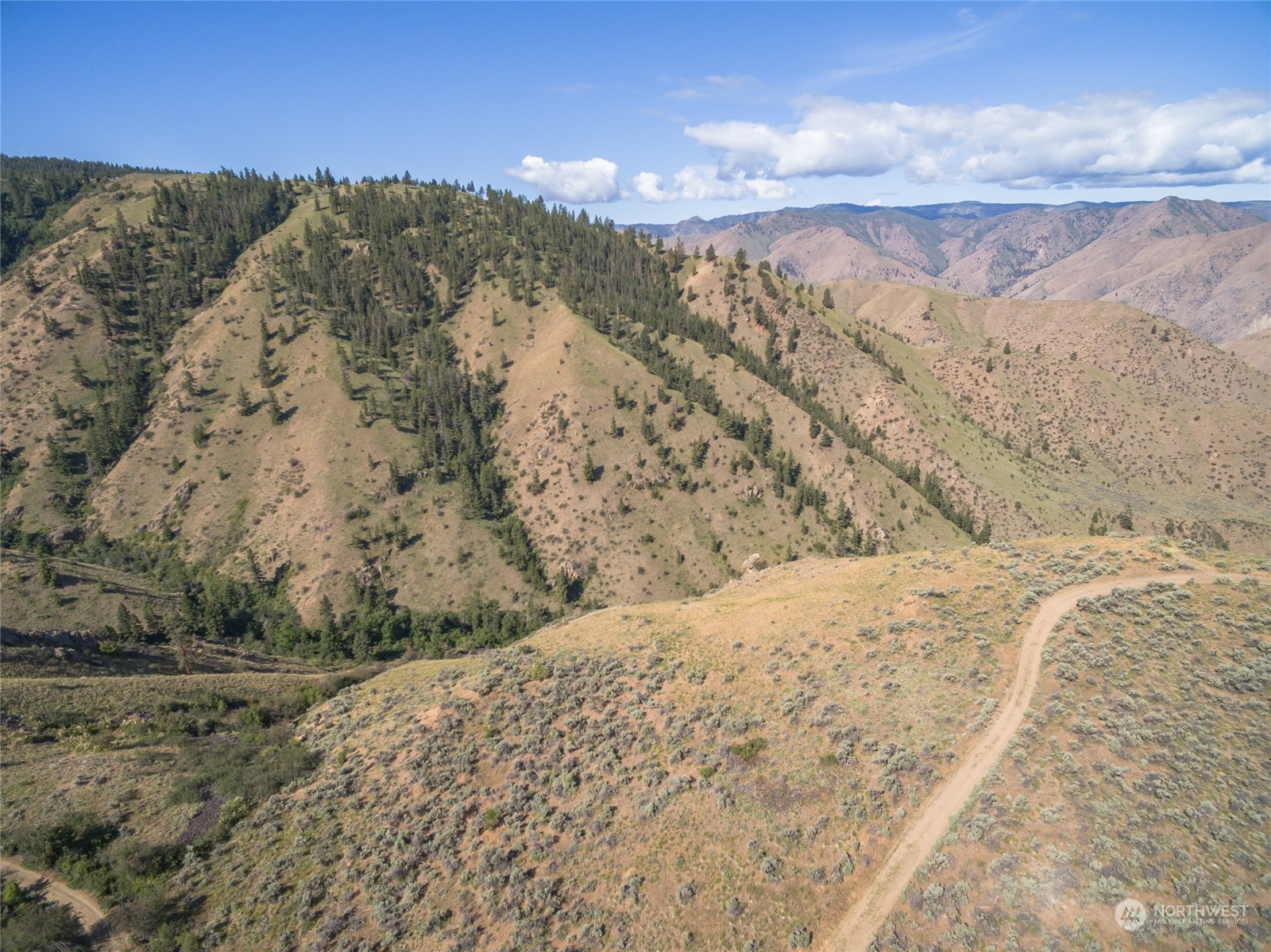 53 Tyee View Loop Road Orondo, WA 98843 - Photo 7 of 25 Gallery Image 7
