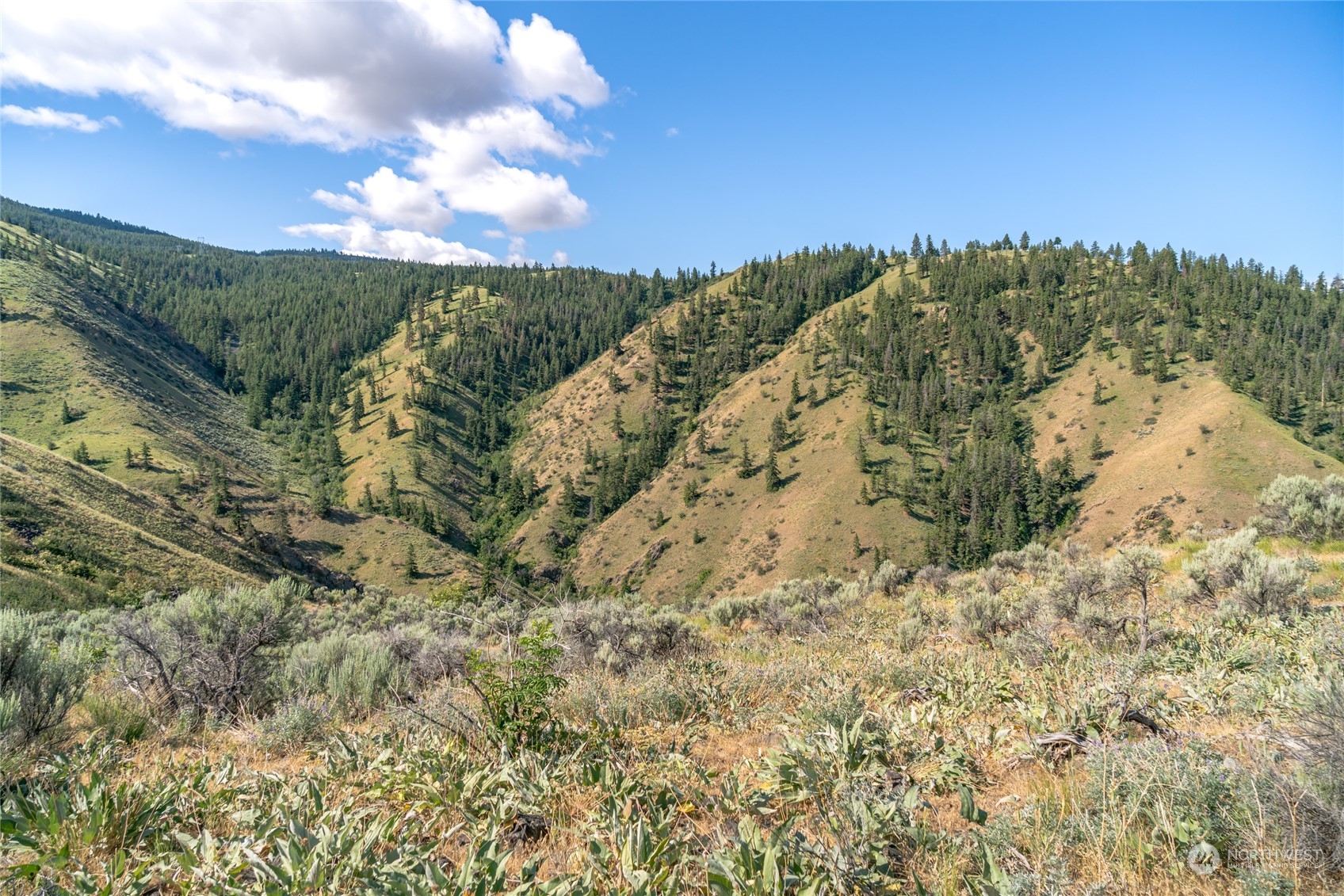 53 Tyee View Loop Road Orondo, WA 98843 - Photo 8 of 25 Gallery Image 8