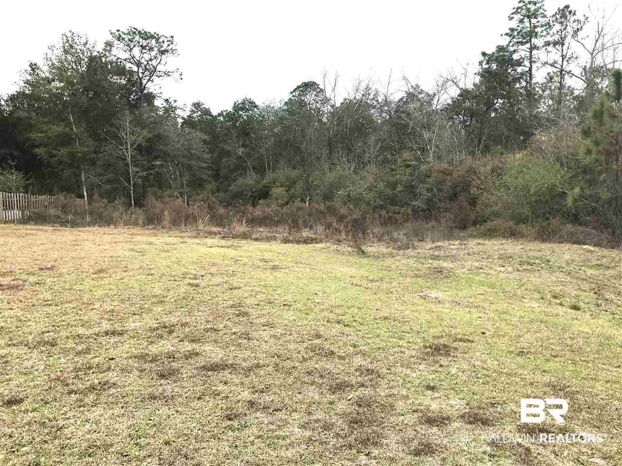 13243 Cathedral Lane Silverhill, AL 36576 - Photo 1 of 5 View from Cathedral Lane