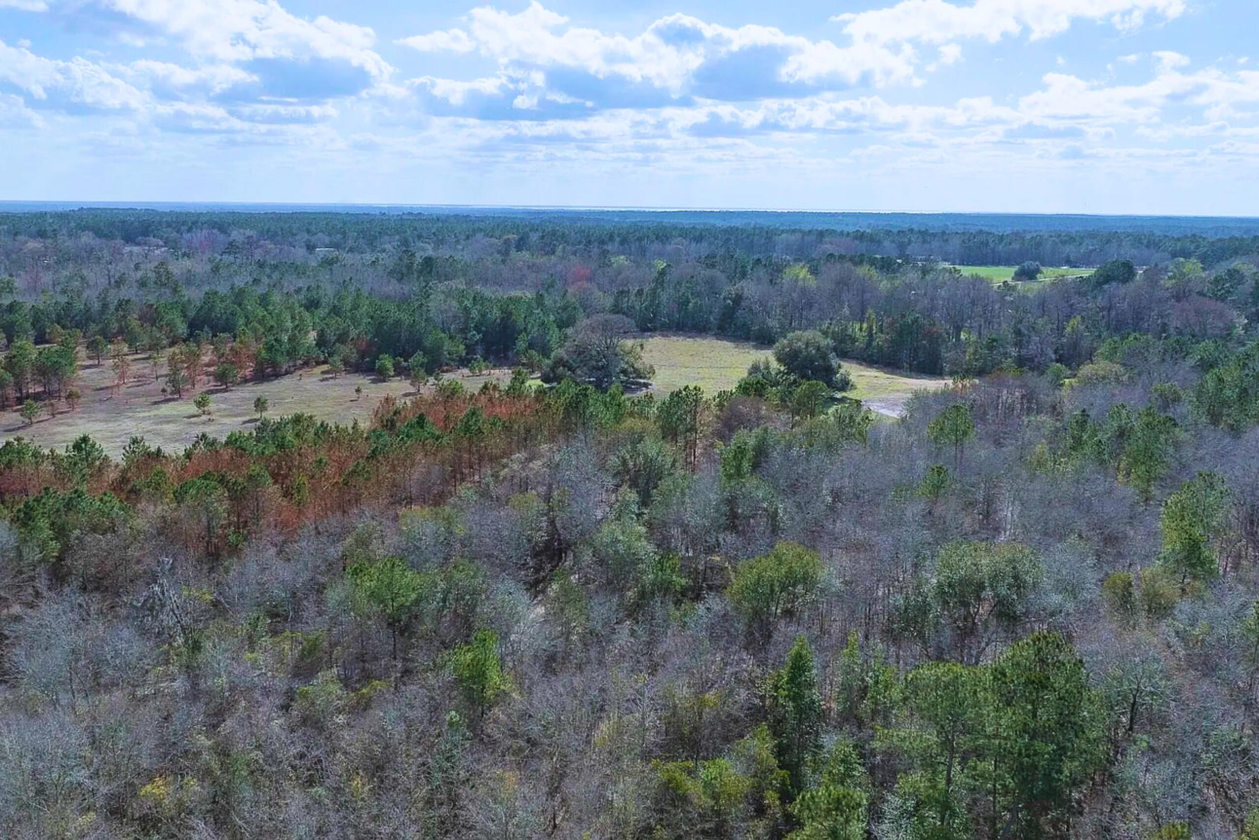 5 Pompey Road Manning, SC 29102 - Photo 11 of 34