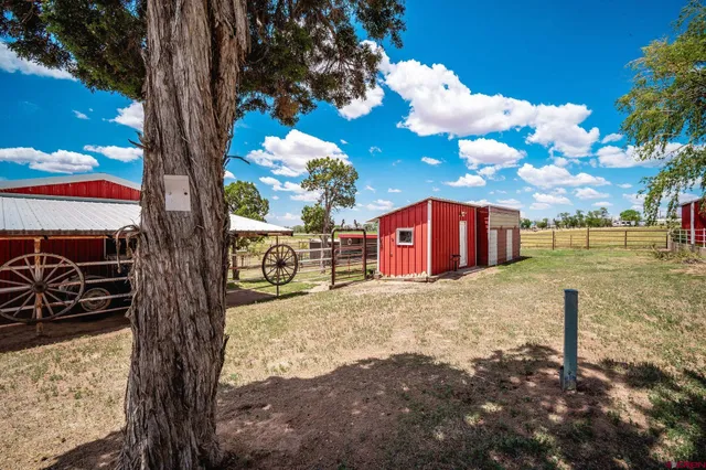 a view of a flower in a balcony