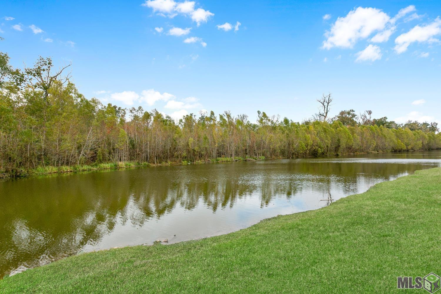 1314 Shadow Bluff Drive Baton Rouge, LA 70820 - Photo 16 of 18