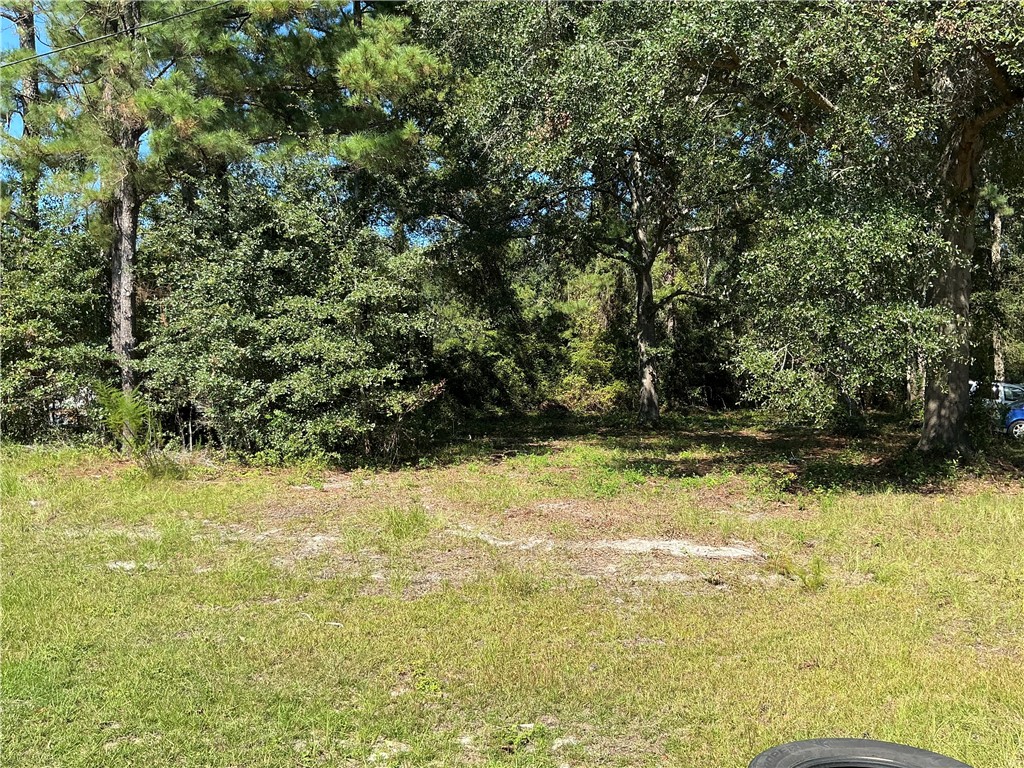 111 Rosy Road Blackshear, GA 31516 - Photo 2 of 3