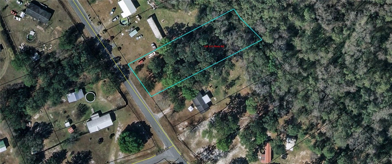 111 Rosy Road Blackshear, GA 31516 - Photo 3 of 3