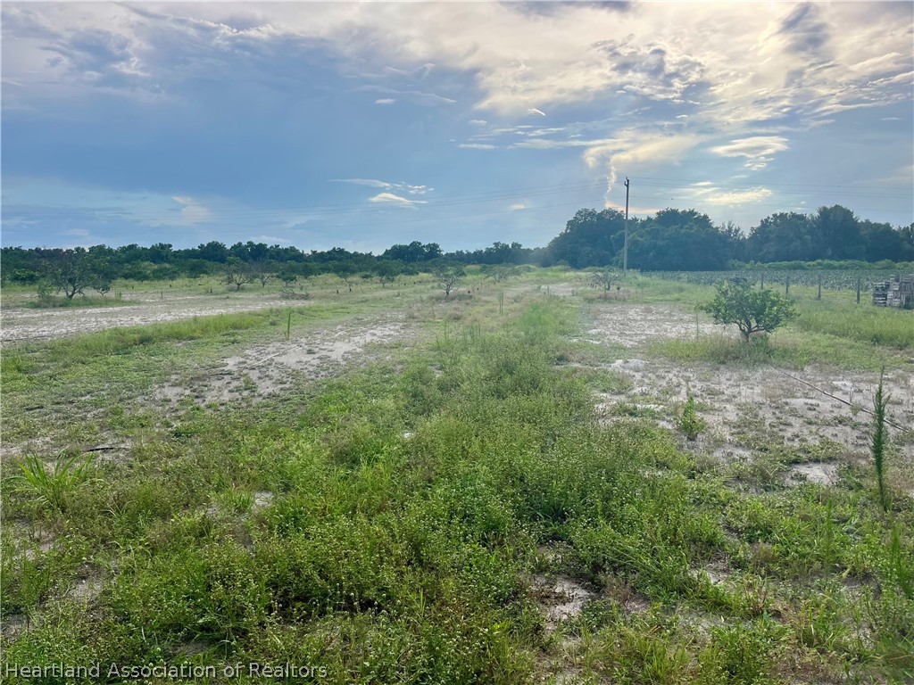 Hayman Road Wauchula, FL 33873 - Photo 8 of 8