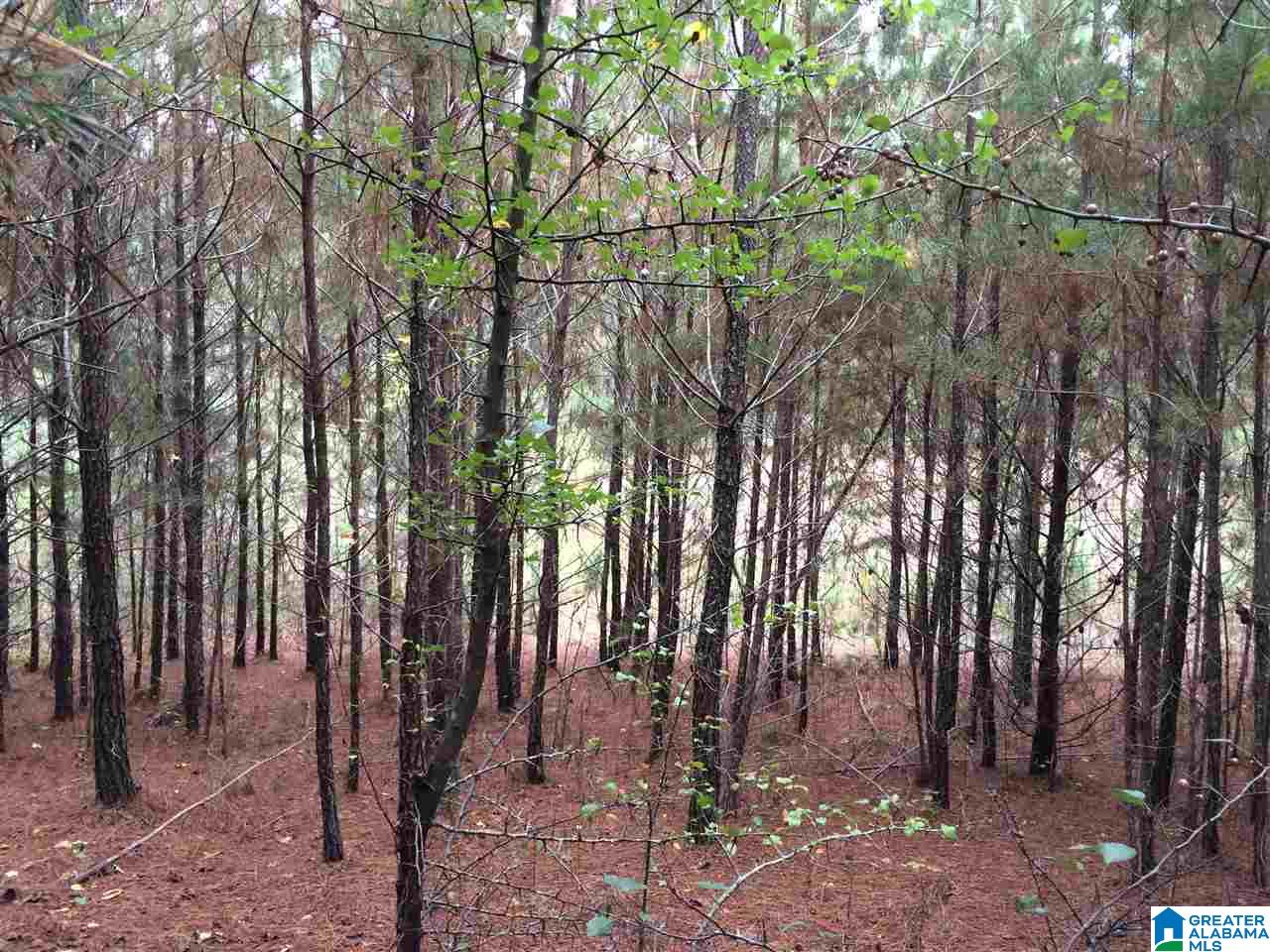Page Spring Road, Unit 4 Arab, AL 35016 - Photo 15 of 29
