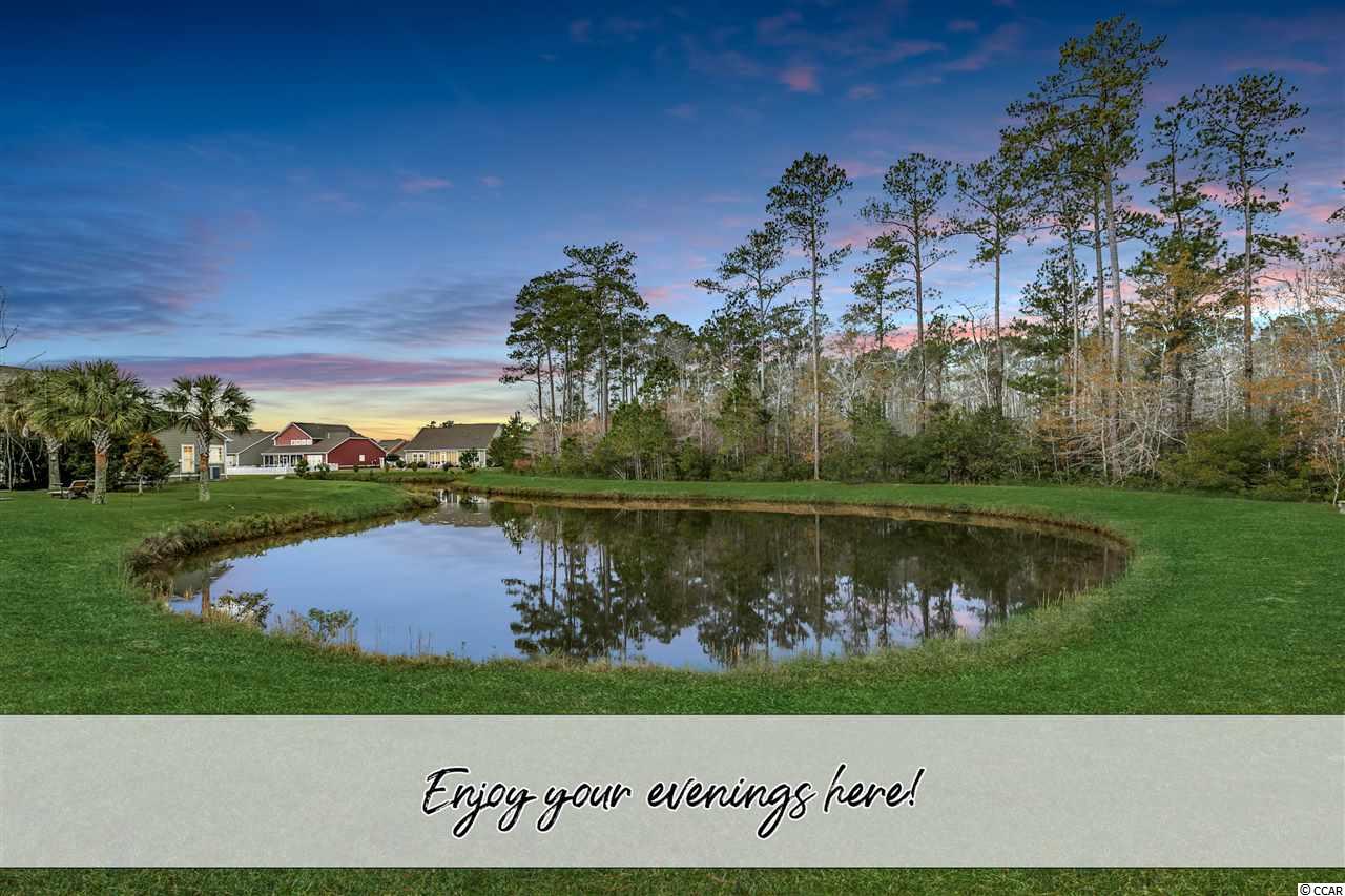 230 Simplicity Drive Murrells Inlet, SC 29576 - Photo 6 of 40