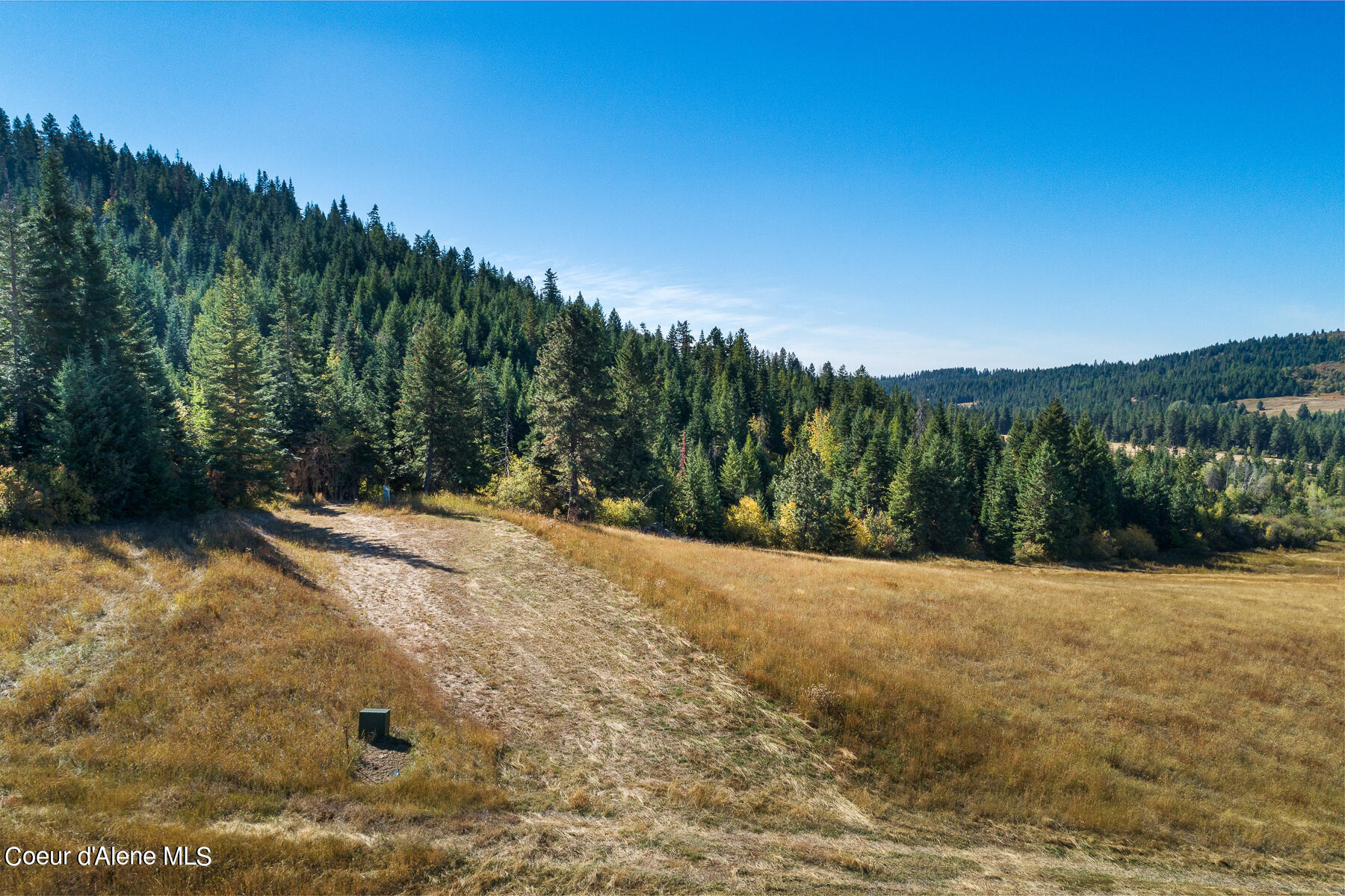 0 Thimbleberry Lane Plummer, ID 83851 - Photo 6 of 16 Landscape