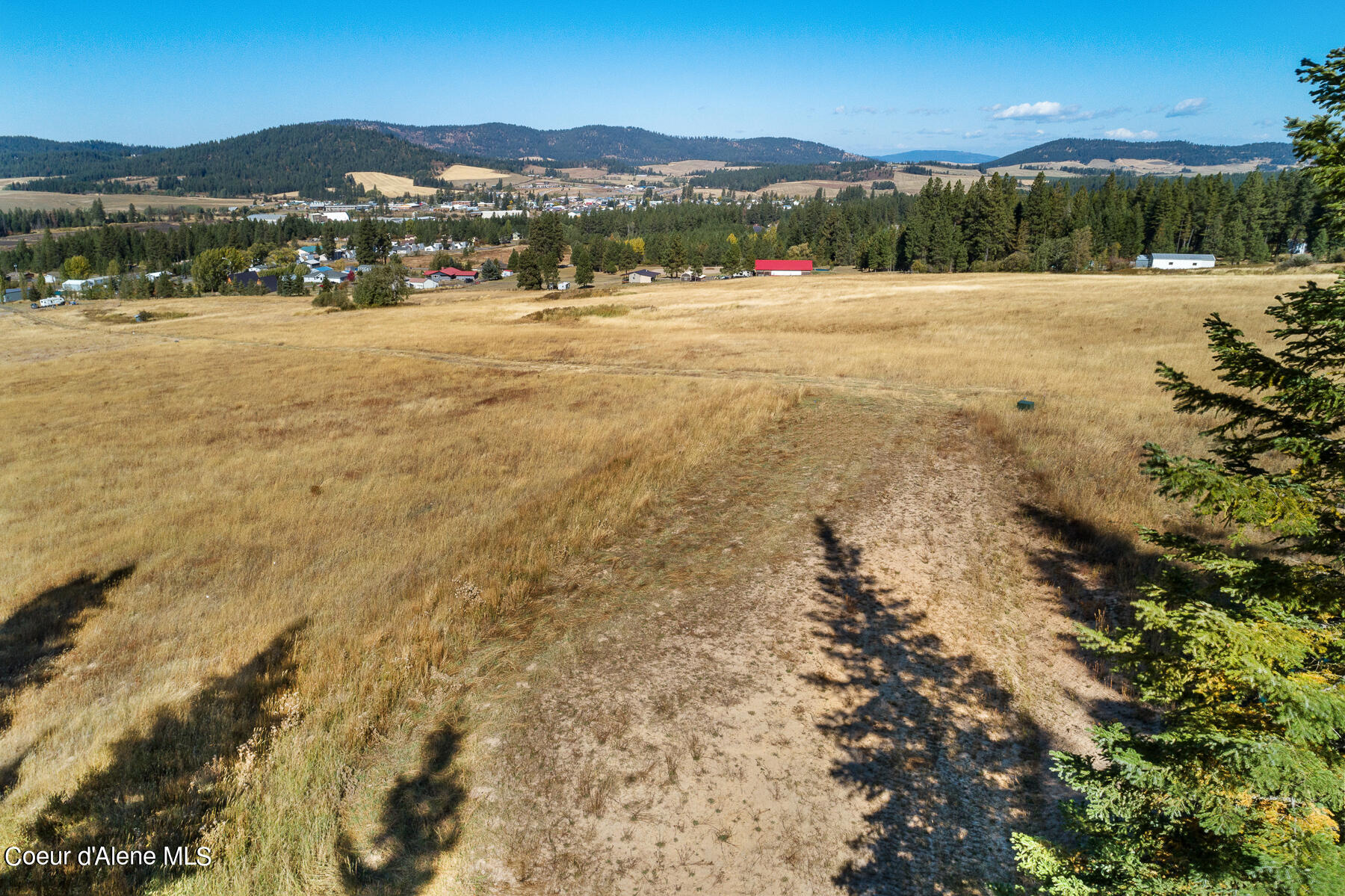 0 Thimbleberry Lane Plummer, ID 83851 - Photo 7 of 16 Landscape
