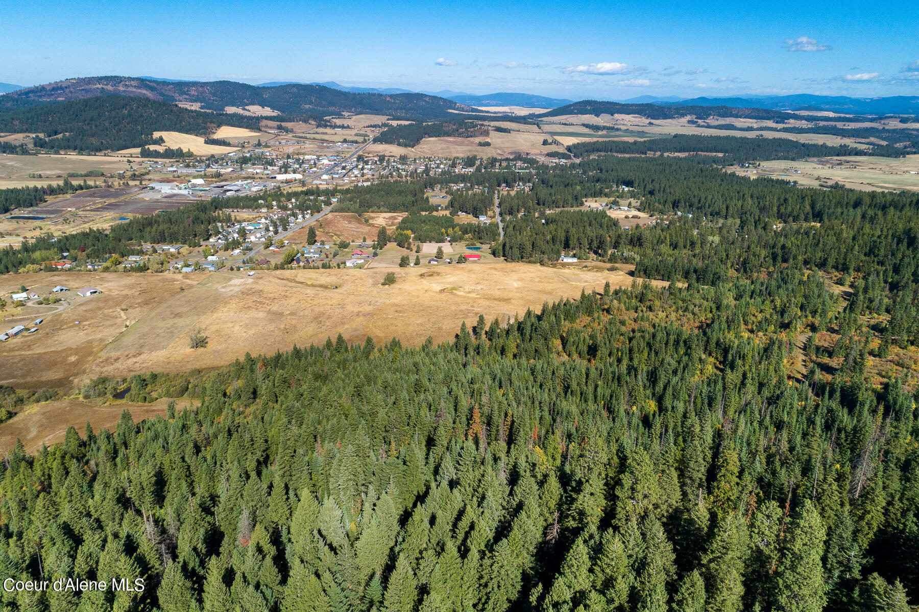 0 Thimbleberry Lane Plummer, ID 83851 - Photo 10 of 16 Aerial View