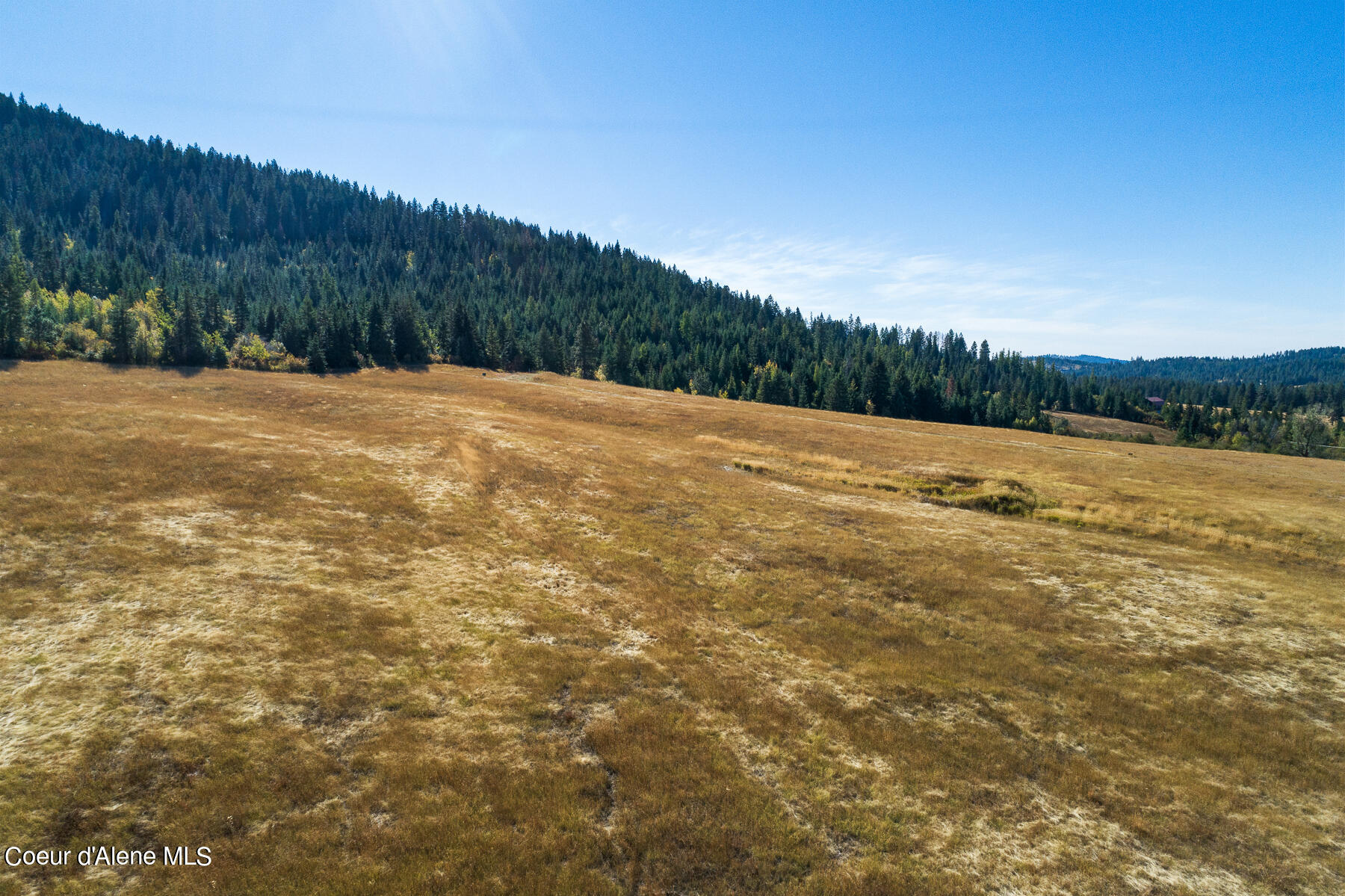 0 Thimbleberry Lane Plummer, ID 83851 - Photo 10 of 16 Landscape