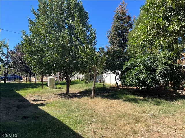 a view of yard with tree