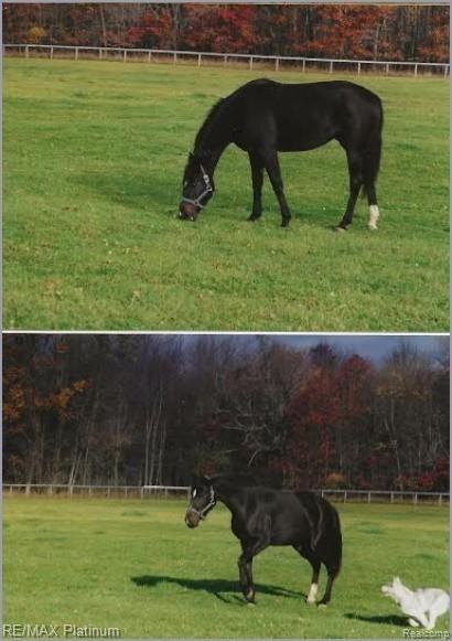 5252 Norton Road Howell, MI 48843 - Photo 20 of 35 Annotation 2020-07-13 080944.jpg