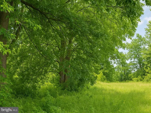 $7,000 | 36645 Woodbush Drive, Bushwood, MD 20618