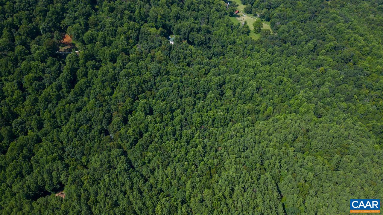0 Mountain Road Afton, VA 22920 - Photo 13 of 21 a view of a lush green forest