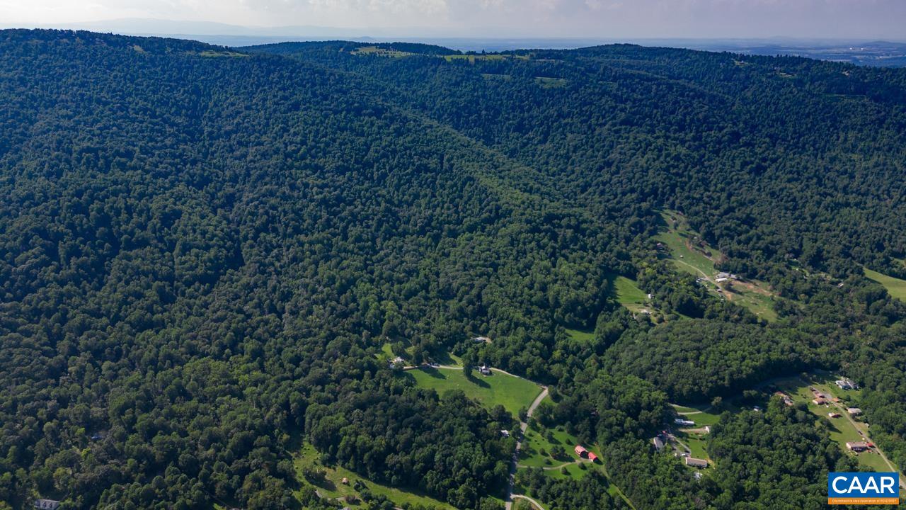 0 Mountain Road Afton, VA 22920 - Photo 18 of 21 a view of a large tree