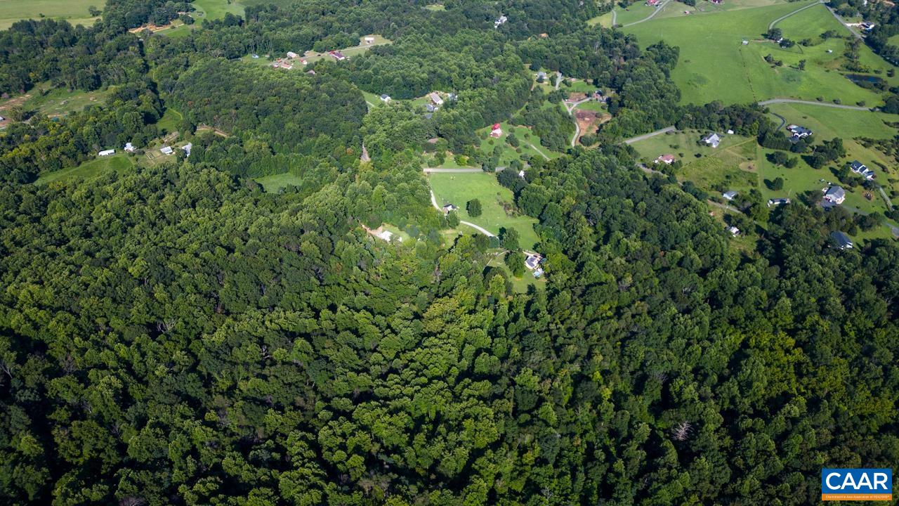 0 Mountain Road Afton, VA 22920 - Photo 19 of 21 a view of a lush green forest
