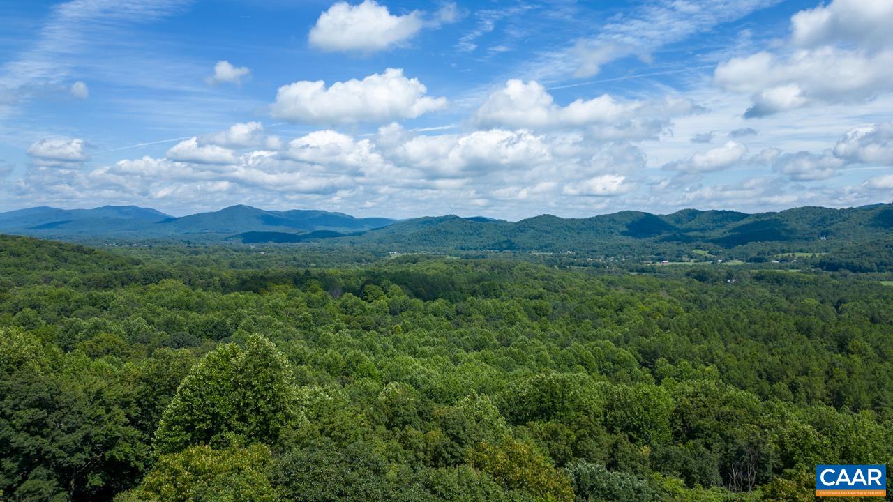0 Mountain Road Afton, VA 22920 - Photo 3 of 21 a view of a bunch of trees