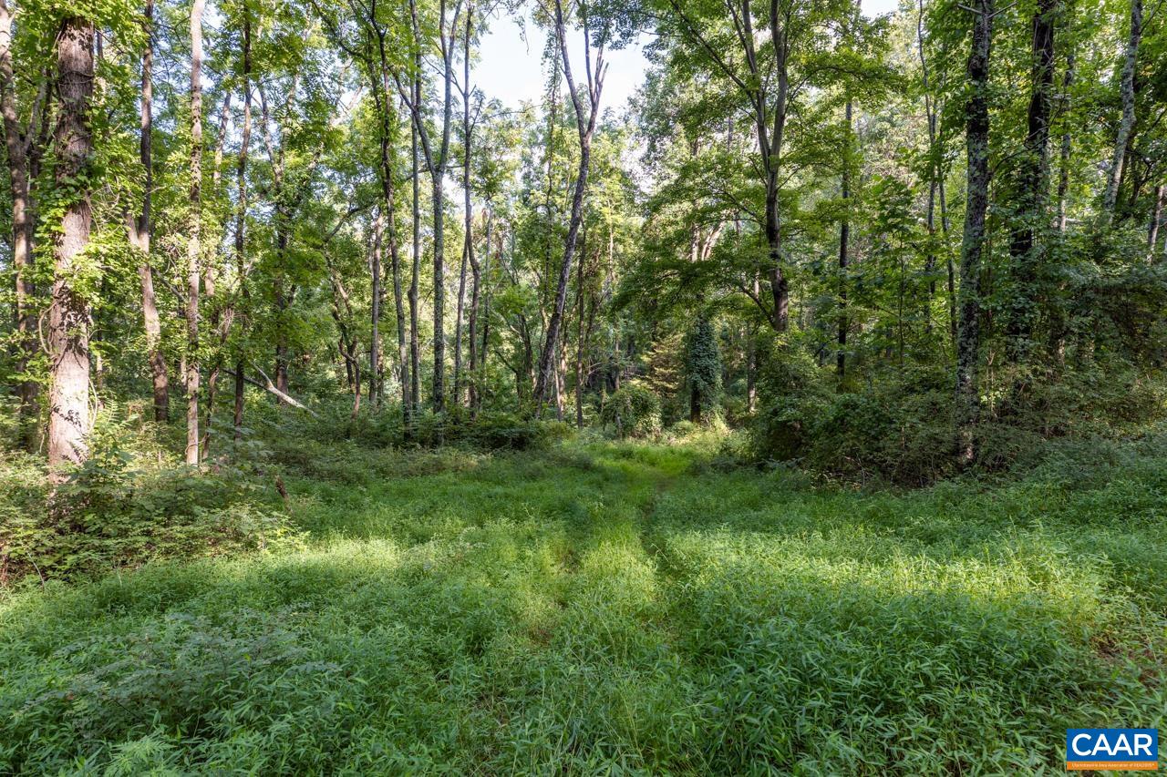 0 Mountain Road Afton, VA 22920 - Photo 6 of 21 a view of outdoor space and yard