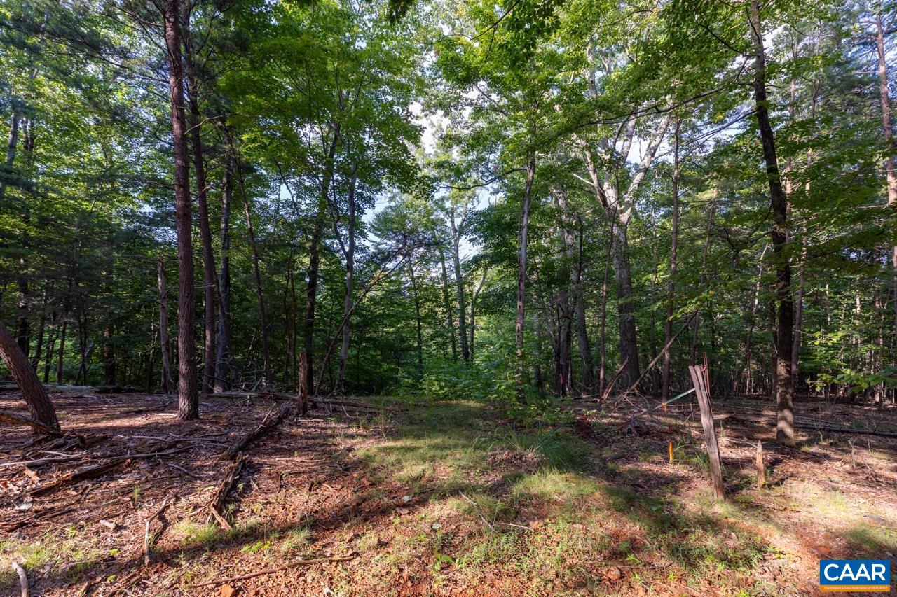 0 Mountain Road Afton, VA 22920 - Photo 7 of 21 a backyard of a house with lots of green space