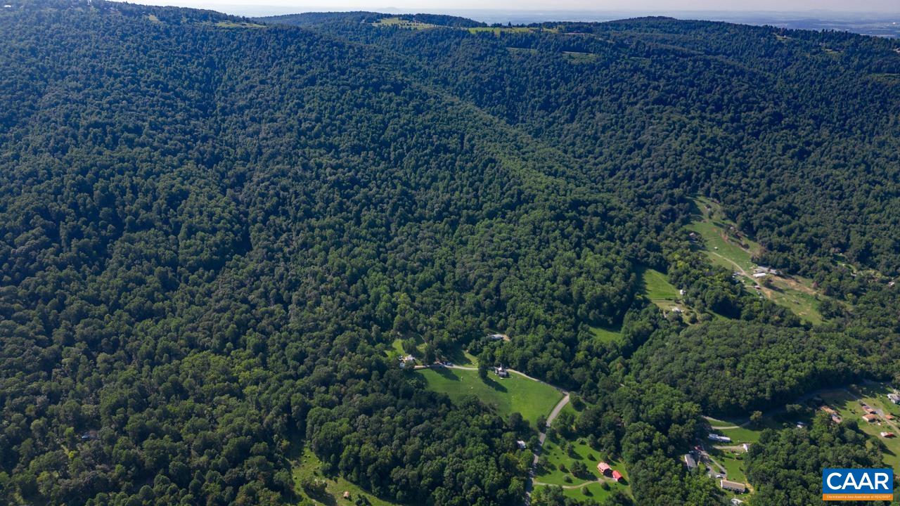 0 Mountain Road Afton, VA 22920 - Photo 8 of 21 a view of a large tree in a field