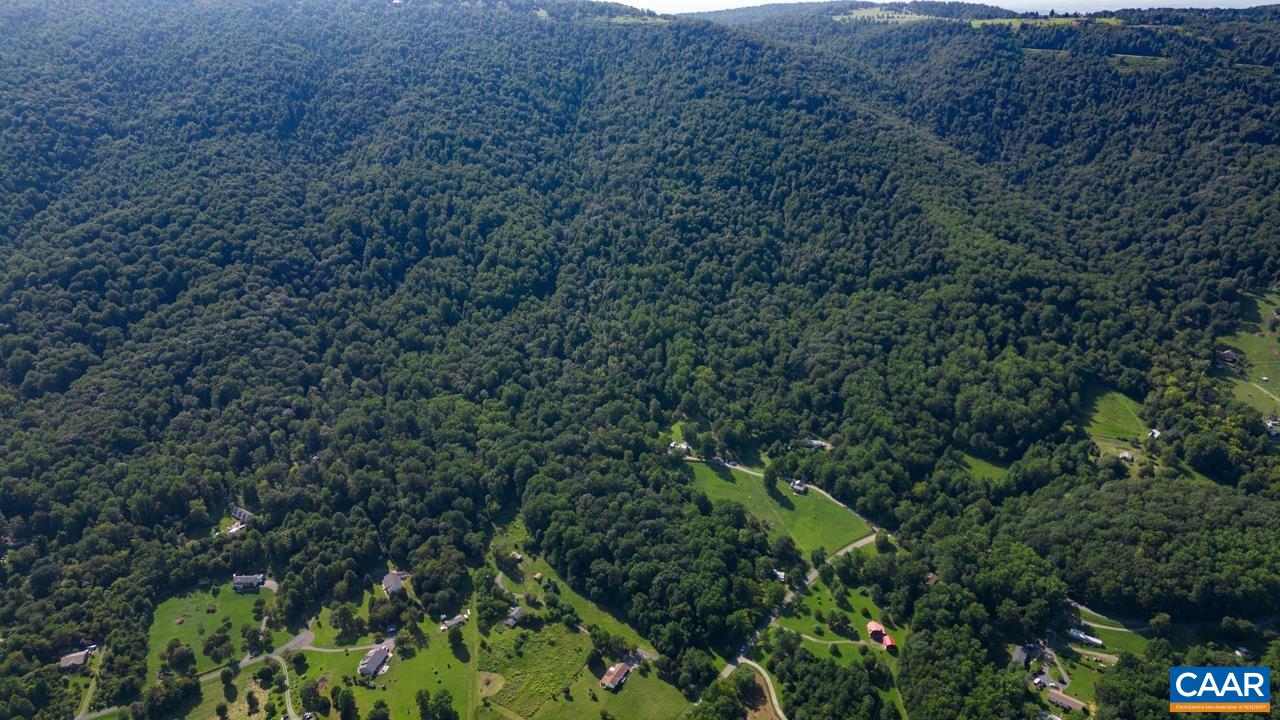 0 Mountain Road Afton, VA 22920 - Photo 10 of 21 a view of a lush green forest with lots of trees
