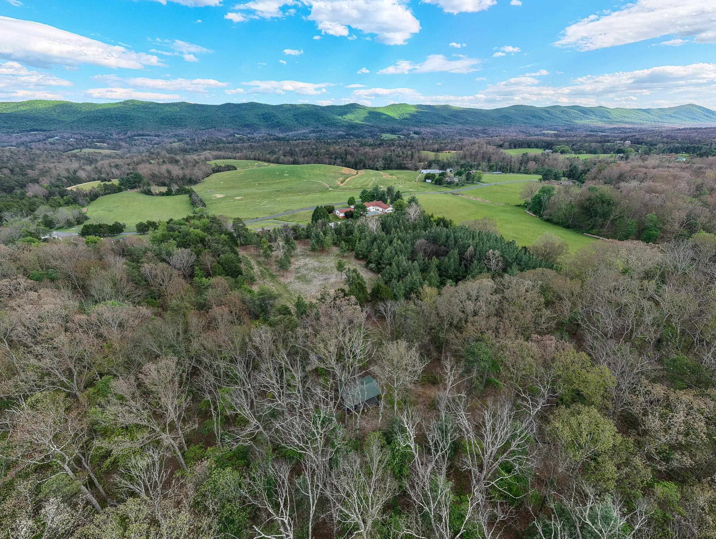 0 Boliver Road Fort Valley, VA 22652 - Photo 24 of 55 Gallery Image 24