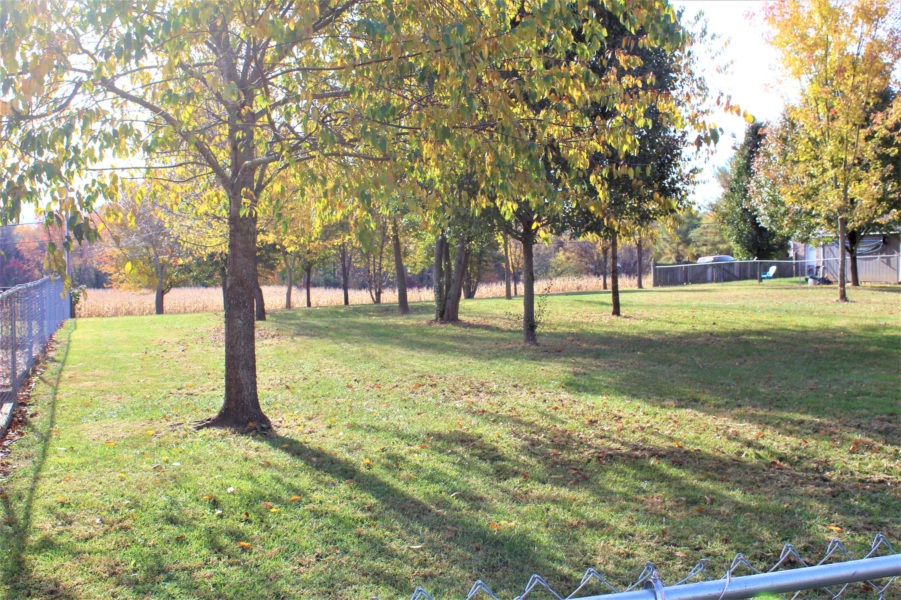 Tbd Pinto Road Greeneville, TN 37745 - Photo 2 of 10 IMG_2784 (2)