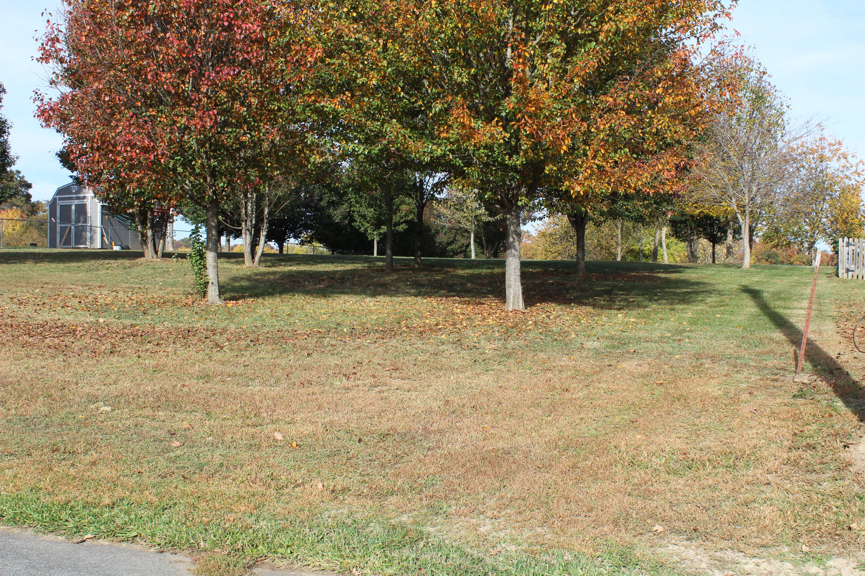 Tbd Pinto Road Greeneville, TN 37745 - Photo 3 of 10 IMG_2785