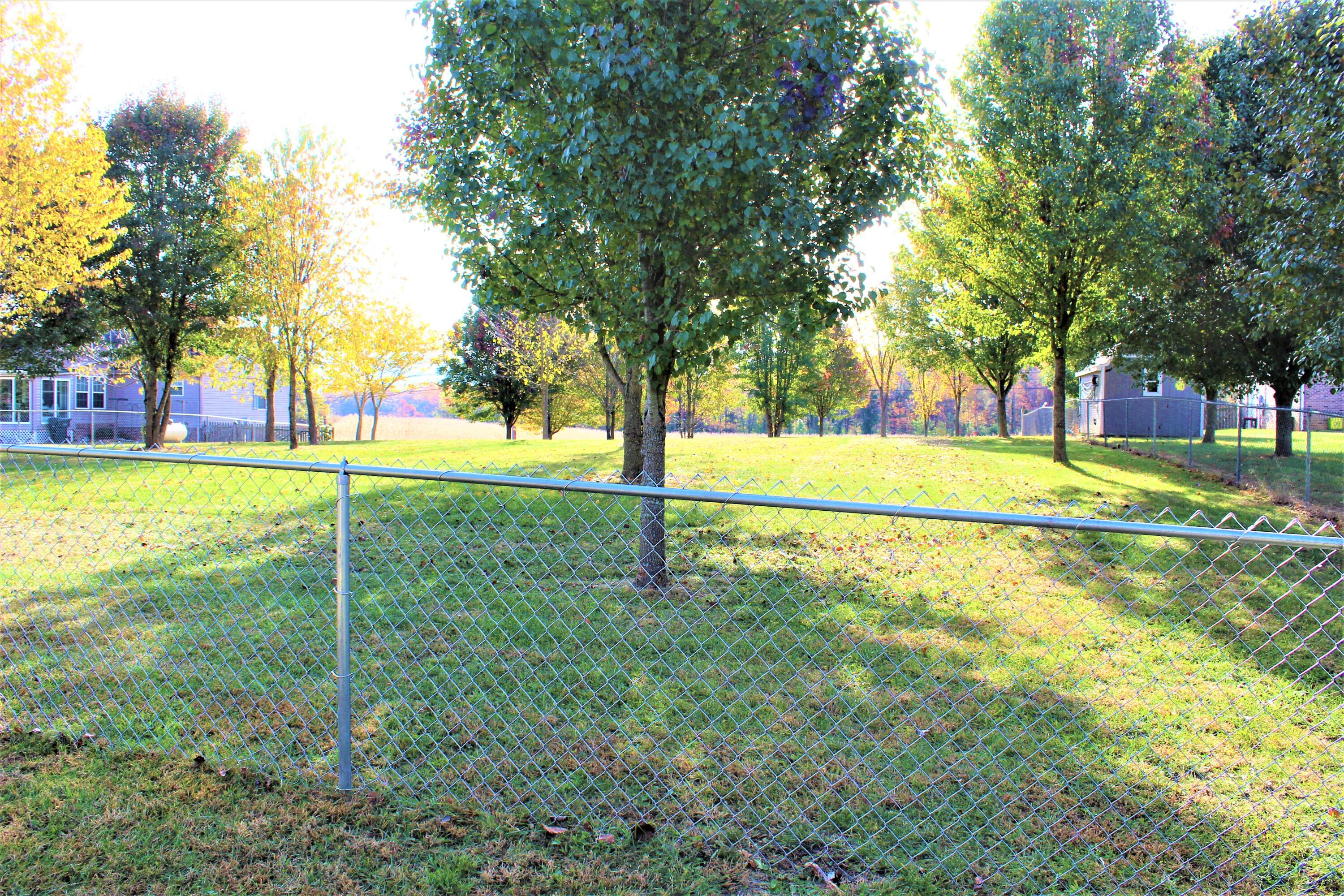 Tbd Pinto Road Greeneville, TN 37745 - Photo 5 of 10 IMG_2782 (3)